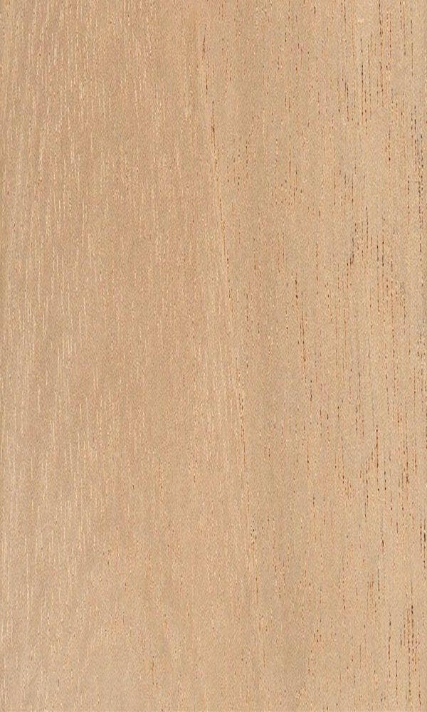 Spanish Cedar - Associated Hardwoods, Inc.