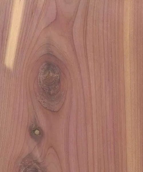 Aromatic Cedar (Plywood) - Associated Hardwoods, Inc.