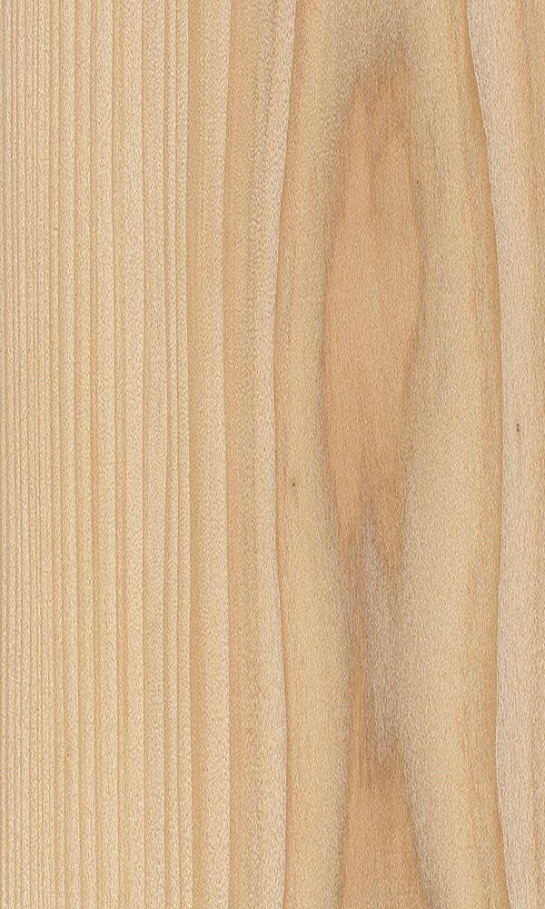 Cypress - Associated Hardwoods, Inc.