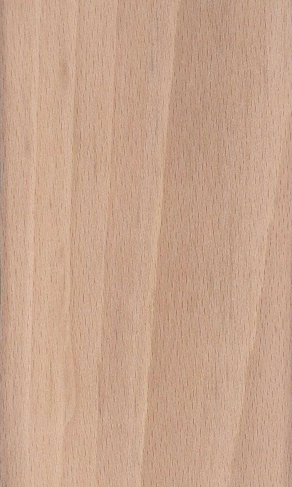 European Beech – Associated Hardwoods, Inc.