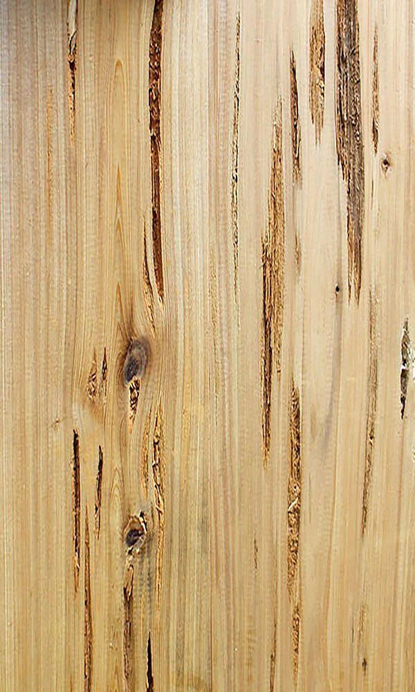 Pecky Cypress - Associated Hardwoods, Inc.